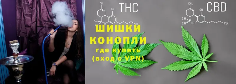 наркотики  МЕГА   Марихуана SATIVA & INDICA  Ельня 